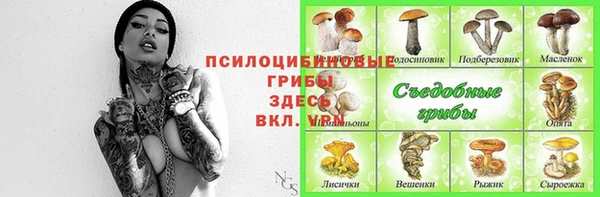бошки Армянск