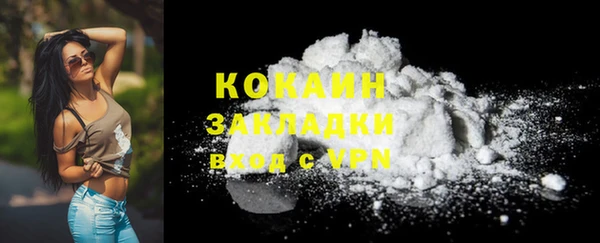 сатива Арсеньев