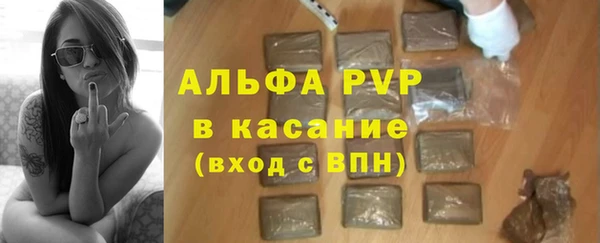 сатива Арсеньев