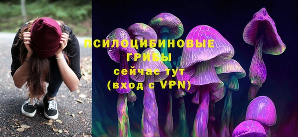 бошки Армянск