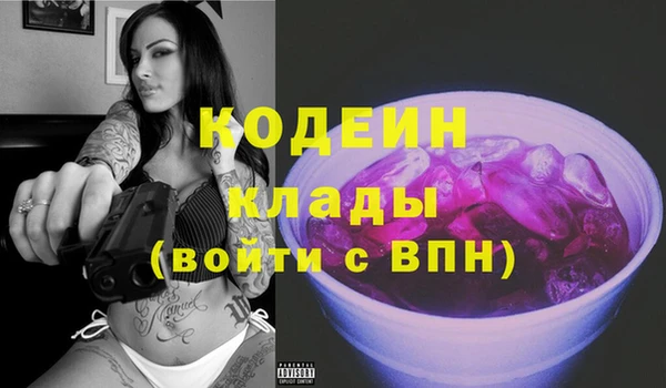 сатива Арсеньев