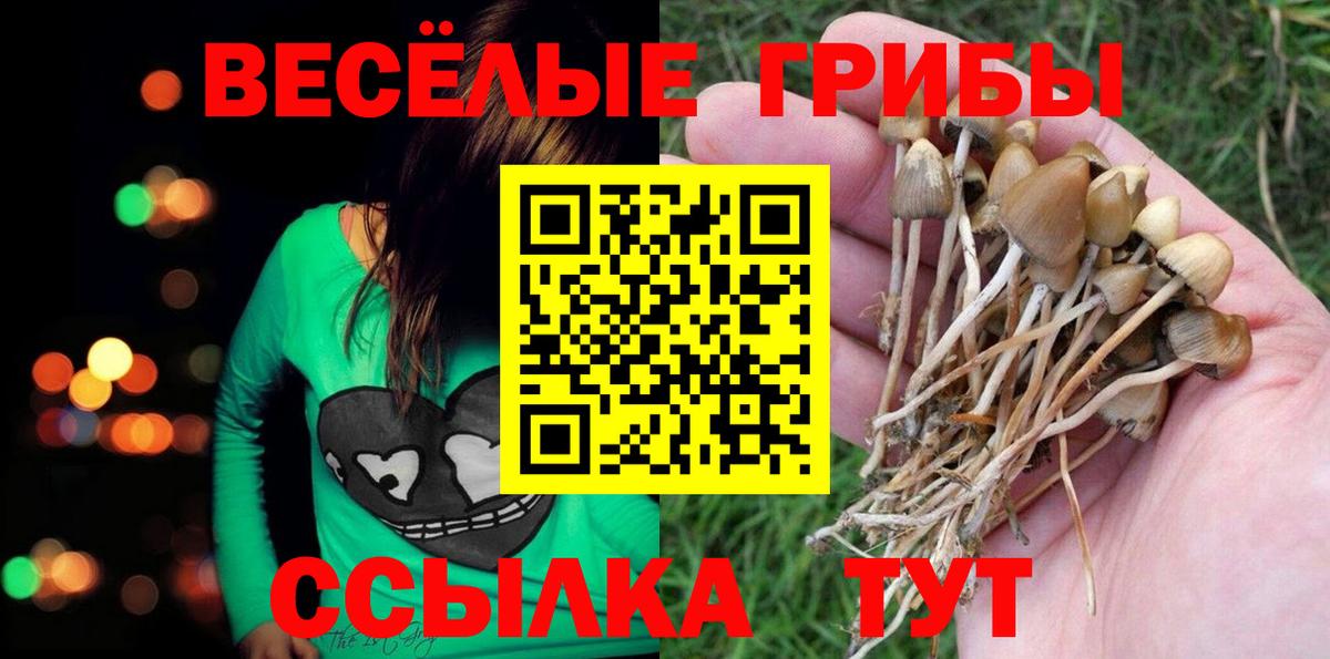 Псилоцибиновые грибы Magic Shrooms  цены наркотик  Лобня 